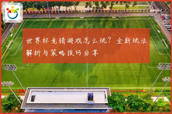 世界杯竞猜游戏怎么玩？全新玩法解析与策略技巧分享