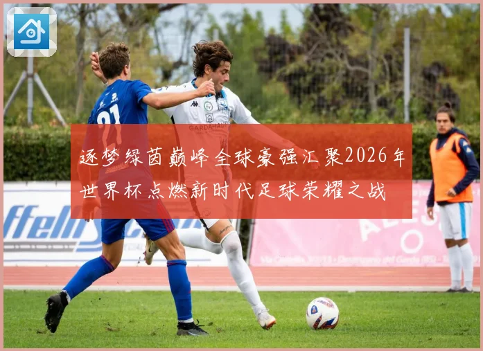 逐梦绿茵巅峰全球豪强汇聚2026年世界杯点燃新时代足球荣耀之战